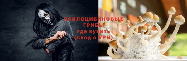 МДПВ Алексин