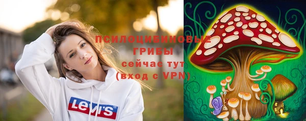 МДПВ Алексин
